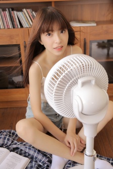 蝴蝶在线观看